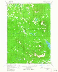 Download a high-resolution, GPS-compatible USGS topo map for Petersburg D-5, AK (1963 edition)