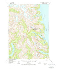 Download a high-resolution, GPS-compatible USGS topo map for Port Alexander D-3, AK (1962 edition)