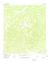 Topo map Ruby A-4 Alaska