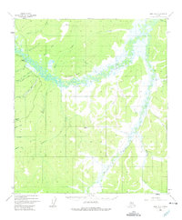 Topo map Ruby A-5 Alaska
