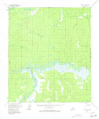 Download a high-resolution, GPS-compatible USGS topo map for Ruby B-1, AK (1981 edition)