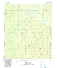 Topo map Ruby B-3 Alaska