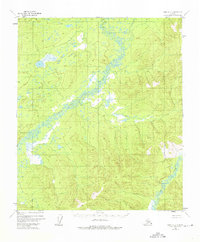 Topo map Ruby C-2 Alaska
