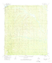 Topo map Ruby C-5 Alaska