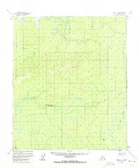 Topo map Ruby D-1 Alaska