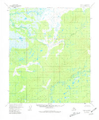 Topo map Ruby D-2 Alaska