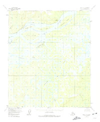 Topo map Ruby D-3 Alaska