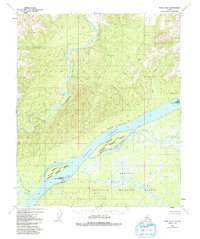Topo map Ruby D-5 Alaska