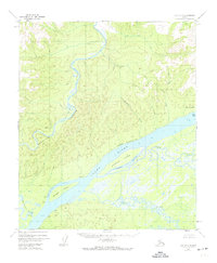 Topo map Ruby D-5 Alaska