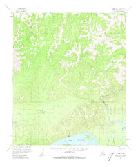 Topo map Ruby D-6 Alaska