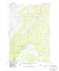 Download a high-resolution, GPS-compatible USGS topo map for Russian Mission D-1, AK (1980 edition)