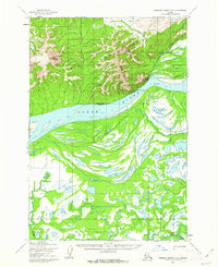 Download a high-resolution, GPS-compatible USGS topo map for Russian Mission D-6, AK (1962 edition)