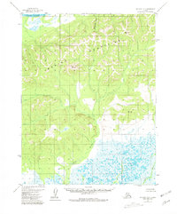 Download a high-resolution, GPS-compatible USGS topo map for Selawik D-2, AK (1981 edition)