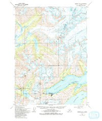 Download a high-resolution, GPS-compatible USGS topo map for Seward D-5, AK (1993 edition)