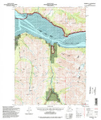 preview thumbnail of historical topo map of Kenai Peninsula County, AK in 1994