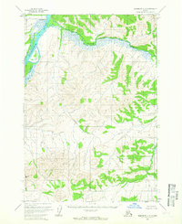 Download a high-resolution, GPS-compatible USGS topo map for Sleetmute C-6, AK (1966 edition)