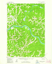 Download a high-resolution, GPS-compatible USGS topo map for Sleetmute D-5, AK (1961 edition)