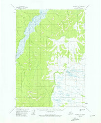 Topo map Sleetmute D-8 Alaska