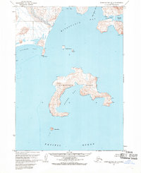 Topo map Stepovak Bay D-3 Alaska