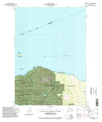 Download a high-resolution, GPS-compatible USGS topo map for Sumdum A-6, AK (1998 edition)