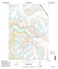 Topo map Sumdum D-4 Alaska