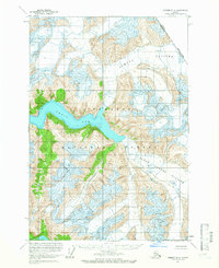Download a high-resolution, GPS-compatible USGS topo map for Sumdum D-4, AK (1966 edition)