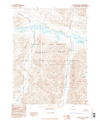 Download a high-resolution, GPS-compatible USGS topo map for Survey Pass C-6, AK (1990 edition)
