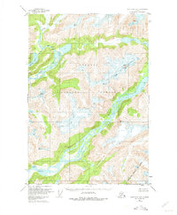 Download a high-resolution, GPS-compatible USGS topo map for Taku River A-5, AK (1975 edition)