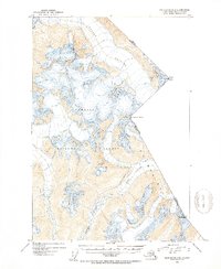 Download a high-resolution, GPS-compatible USGS topo map for Taku River B-5, AK (1954 edition)