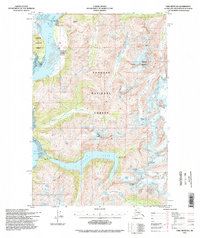 Topo map Taku River B-6 Alaska