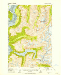 Download a high-resolution, GPS-compatible USGS topo map for Taku River B-6, AK (1954 edition)