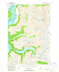 Download a high-resolution, GPS-compatible USGS topo map for Taku River B-6, AK (1965 edition)
