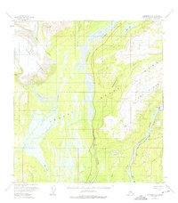 Download a high-resolution, GPS-compatible USGS topo map for Talkeetna C-1, AK (1975 edition)