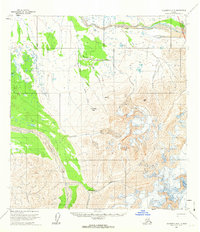 Topo map Talkeetna D-5 Alaska