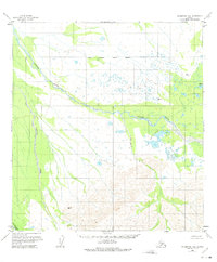 Download a high-resolution, GPS-compatible USGS topo map for Talkeetna D-6, AK (1975 edition)