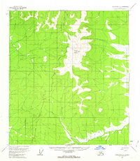 Download a high-resolution, GPS-compatible USGS topo map for Tanacross C-3, AK (1962 edition)