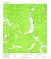 Download a high-resolution, GPS-compatible USGS topo map for Tanacross C-4, AK (1964 edition)