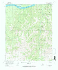 Topo map Tanana B-1 Alaska