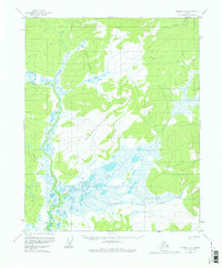 Topo map Tanana D-6 Alaska