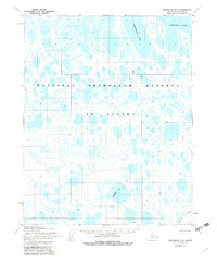 Download a high-resolution, GPS-compatible USGS topo map for Teshekpuk B-2, AK (1983 edition)