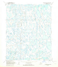 Download a high-resolution, GPS-compatible USGS topo map for Teshekpuk B-5, AK (1965 edition)