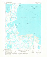 Topo map Teshekpuk D-3 Alaska