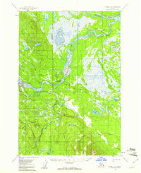 Download a high-resolution, GPS-compatible USGS topo map for Tyonek D-4, AK (1961 edition)