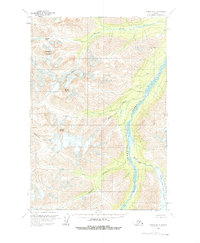 Download a high-resolution, GPS-compatible USGS topo map for Tyonek D-8, AK (1963 edition)