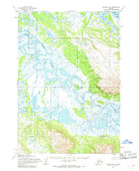 Topo map Ugashik B-4 Alaska