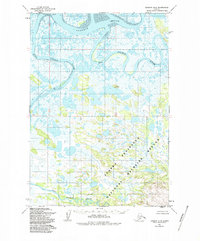 Download a high-resolution, GPS-compatible USGS topo map for Ugashik B-5, AK (1986 edition)