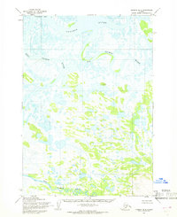 Download a high-resolution, GPS-compatible USGS topo map for Ugashik B-5, AK (1968 edition)