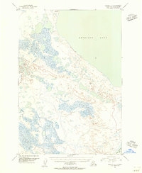 Topo map Ugashik D-3 Alaska