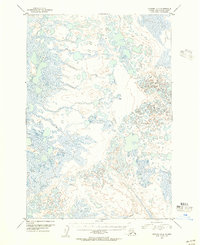 Topo map Ugashik D-4 Alaska
