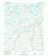 Download a high-resolution, GPS-compatible USGS topo map for Umiat C-4, AK (1970 edition)